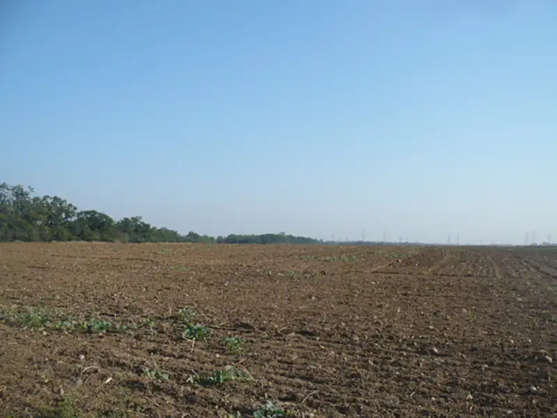 Prodej komerčního pozemku 27806 m², Veltrusy – náhled fotky 3