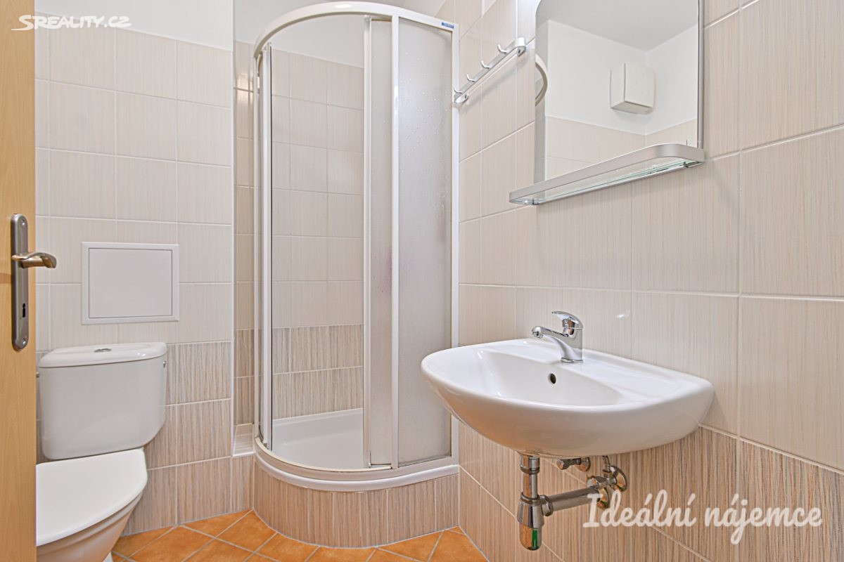 Pronájem bytu 1+kk 30 m² – pohled 6