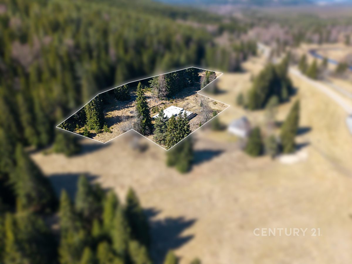 Prodej stavebního pozemku 10137 m² – fotografie 3