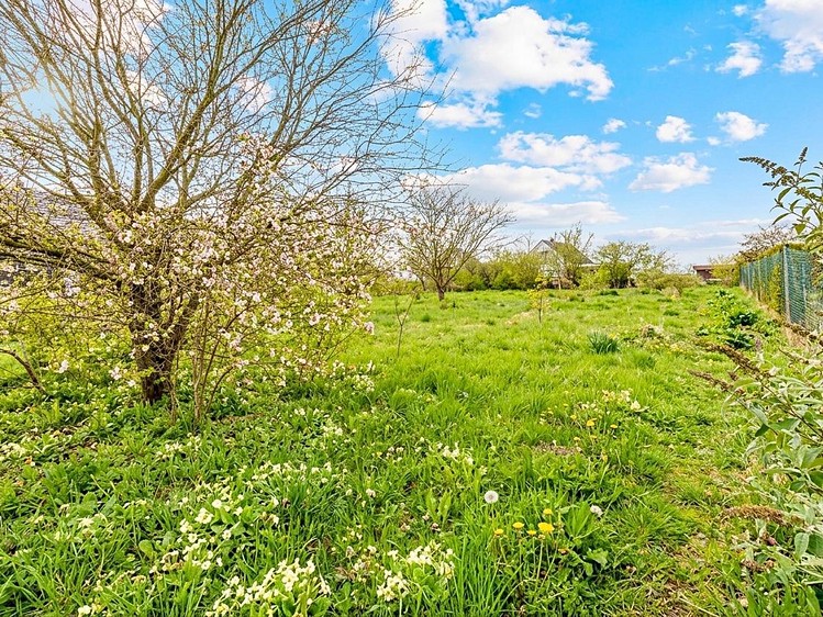 Grundstück zum Kauf, 1.556 m² (9 von 15)