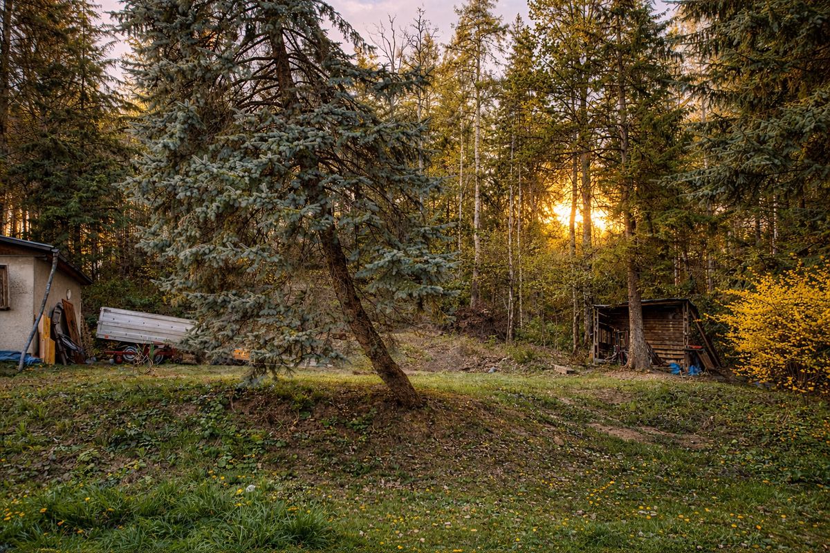 Prodej stavebního pozemku 5157 m² – fotografie 2
