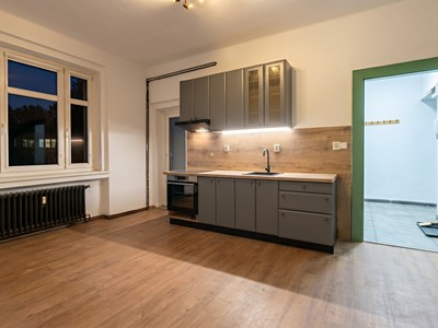 Pronájem bytu 2+kk 50 m² (Jednopodlažní)