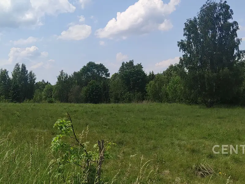 Prodej stavebního pozemku 1025 m², Staré Křečany – náhled fotky 1