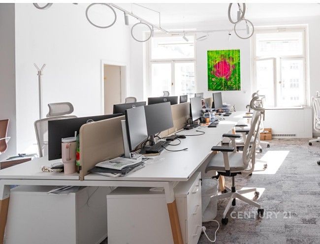 Pronájem obchodního prostoru 503 m² – fotografie 2