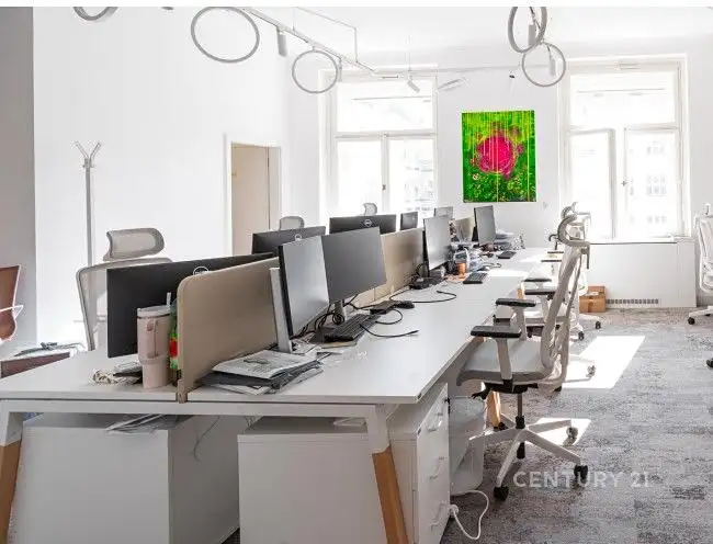 Pronájem obchodního prostoru 503 m², Praha – náhled fotky 2