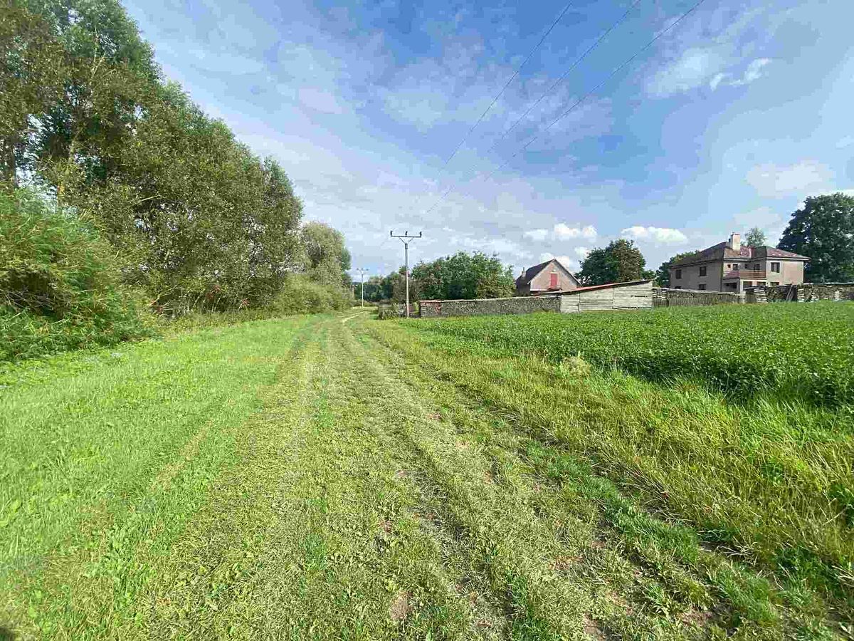 Prodej pozemku 6901 m² – fotografie 2