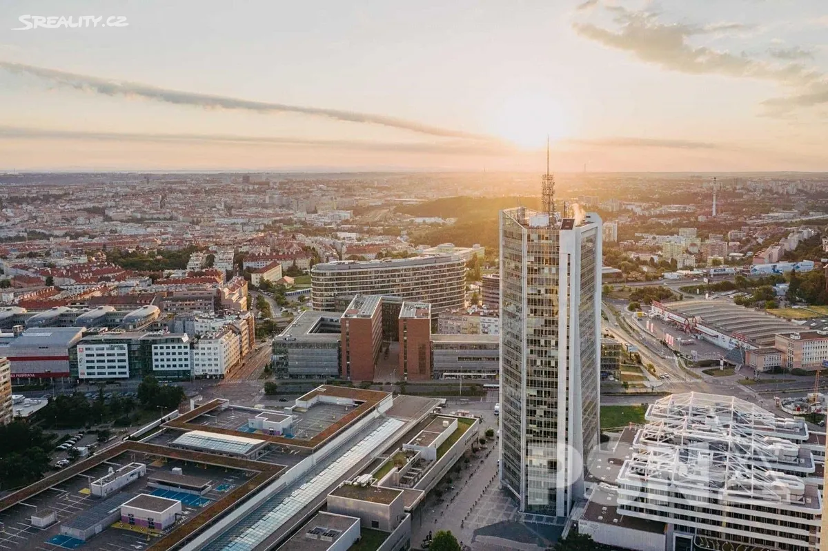 Pronájem kanceláře 266 m²
