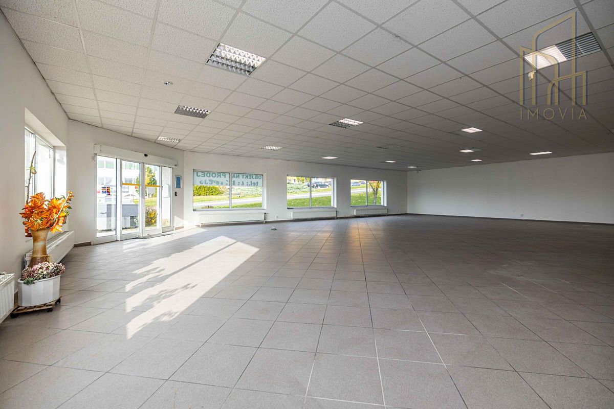 Prodej rodinného domu 649 m², pozemek 2182 m² – fotografie 4
