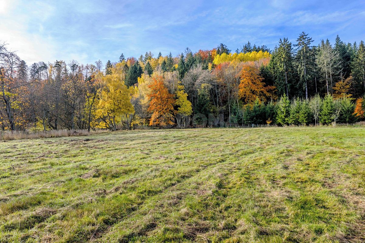 Prodej stavebního pozemku 4110 m² – fotografie 3