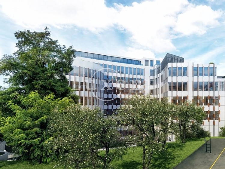 Комерційне приміщення в оренду, 423 м² (10 з 10)