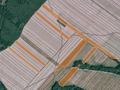 Prodej  pole 171 106 m² — photo 3
