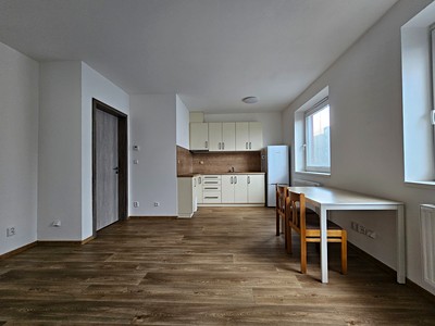 Pronájem bytu 1+kk 38 m²