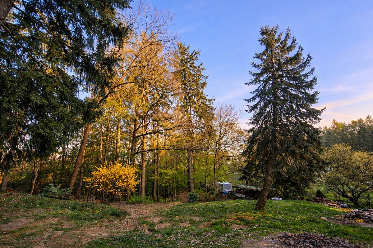 Prodej stavebního pozemku 5157 m² – fotografie 4