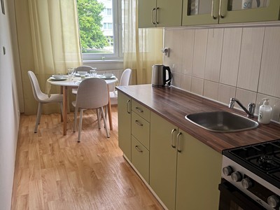 Pronájem bytu 2+1 55 m² (Jednopodlažní)