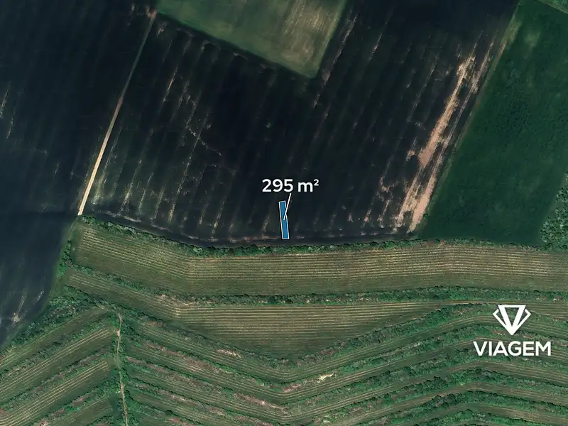 Prodej pole 295 m², Morkůvky – náhled fotky 2