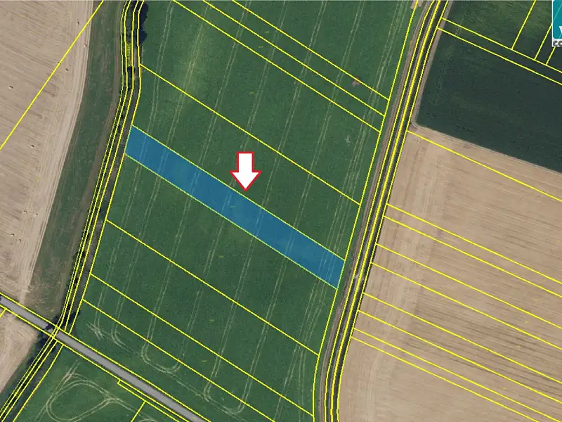 Prodej pole 10702 m², Šebetov – náhled fotky 2