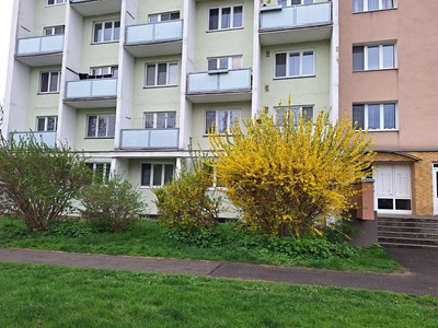 Prodej bytu 3+1 98 m² (Jednopodlažní)