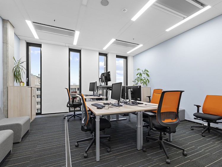 Gewerbefläche zur Miete, 1.751 m² (18 von 23)