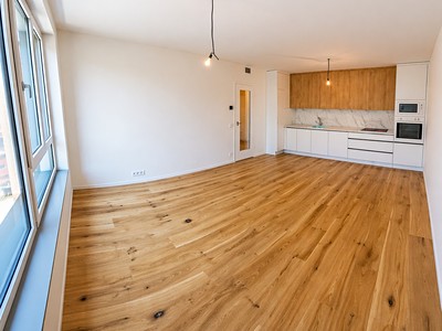 Pronájem bytu 2+kk 46 m² (Jednopodlažní)