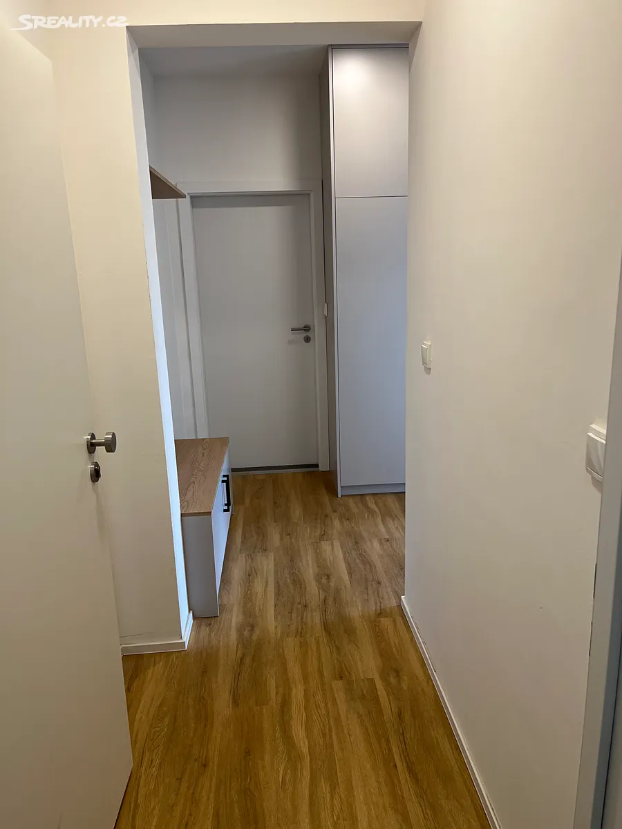 Pronájem bytu 1+kk 92 m² – pohled 6