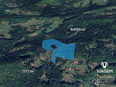 Prodej lesa 45503 m²