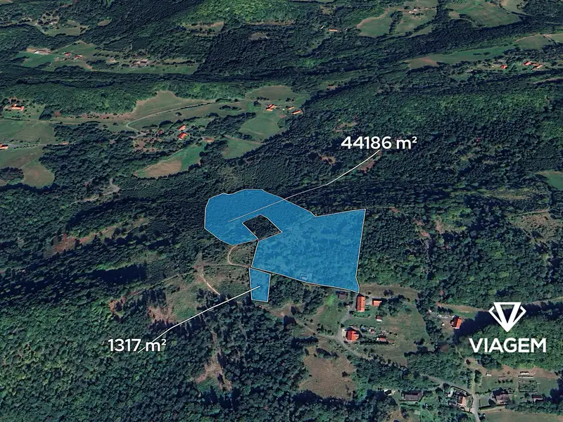 Prodej lesa 45503 m², Prostřední Bečva – náhled fotky 1