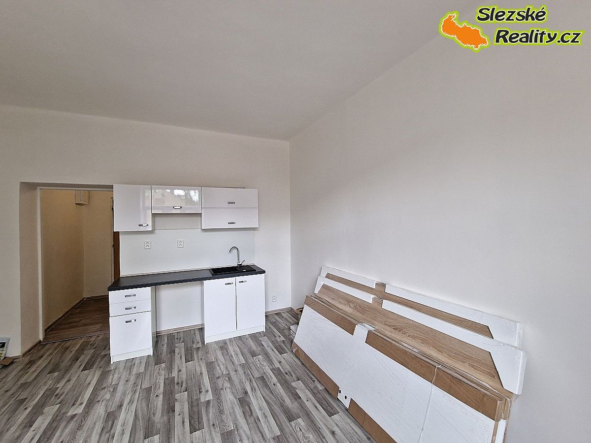 Pronájem bytu 1+kk 26 m²