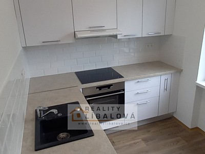 Pronájem bytu 1+1 36 m²