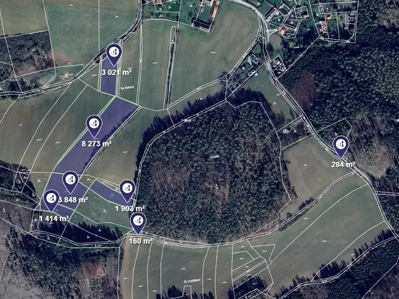 Prodej pole 18903 m², Radošovice – náhled fotky 1