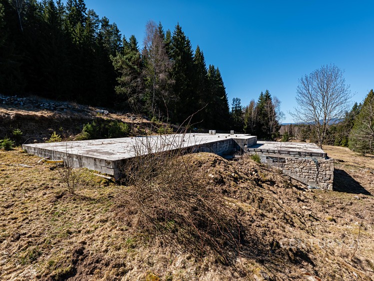 Grundstück zum Kauf, 10.137 m² (8 von 32)