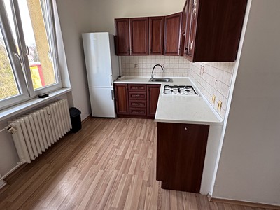 Pronájem bytu 2+1 58 m² (Jednopodlažní)