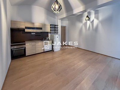 Pronájem bytu 1+kk 30 m²