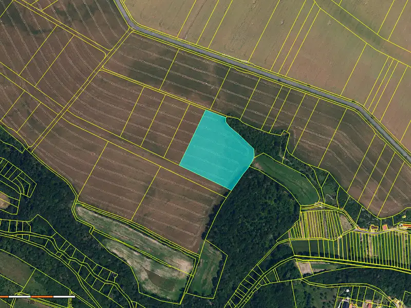 Prodej pole 38229 m², Hluboké Mašůvky – náhled fotky 3
