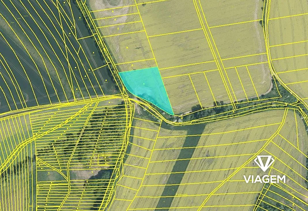 Fotka 4 z 4