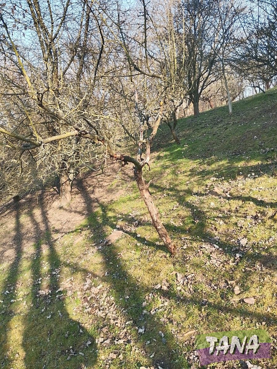 Prodej rodinného domu 145 m², pozemek 3028 m² – fotografie 2