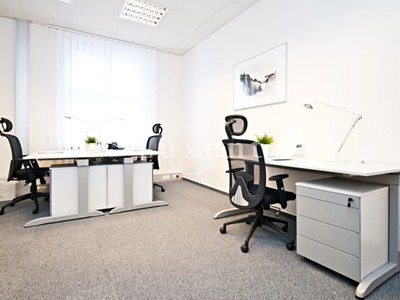 Gewerbefläche zur Miete, 666 m² (3 von 5)