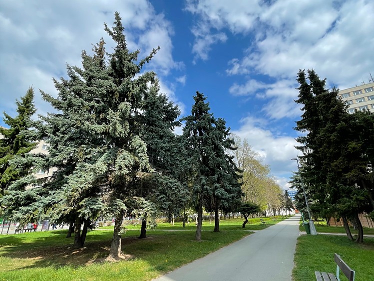 Квартира 1+1 на продаж, 34 м² (17 з 17)