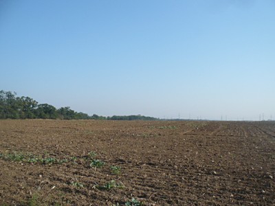 Prodej pozemku, 55 948 m² (2 z 3)