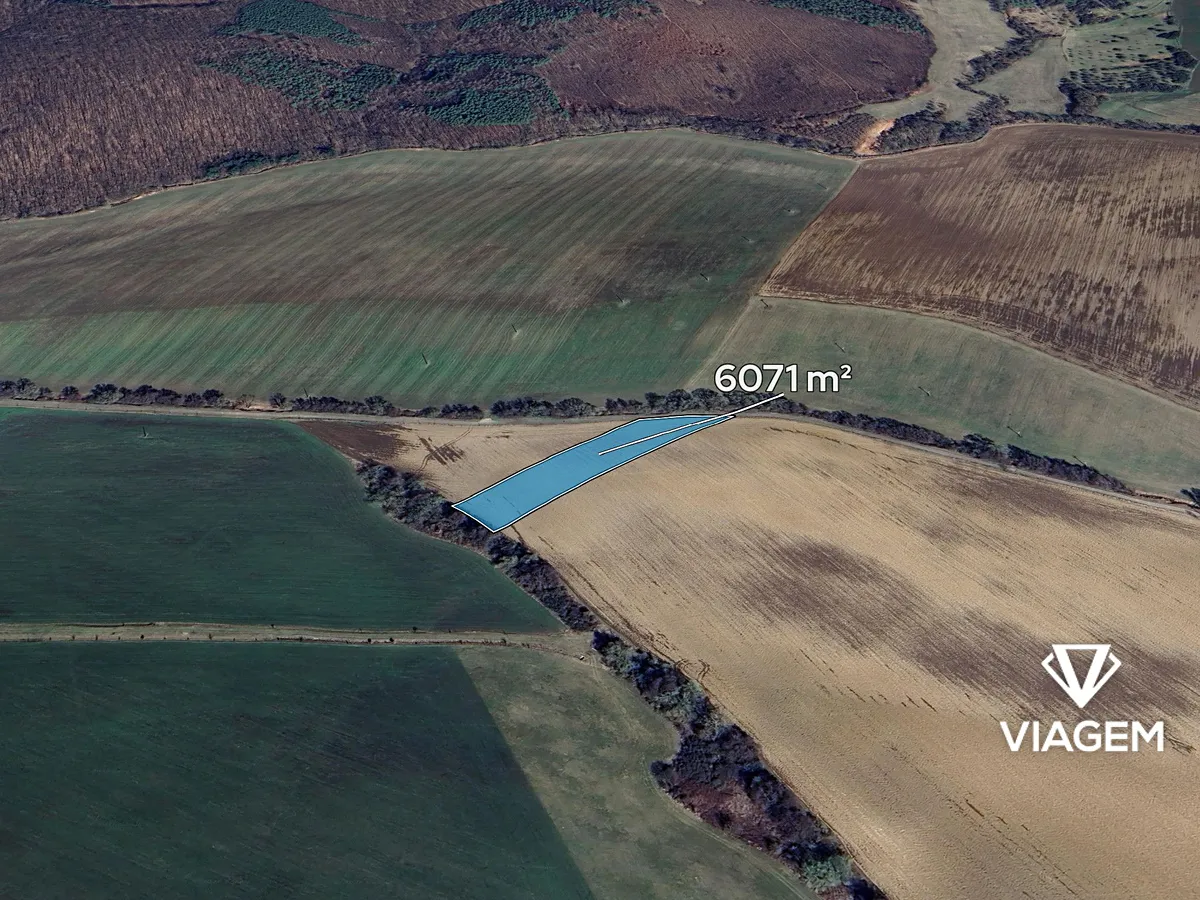 Prodej podílu 1/12 pole 505 m²
