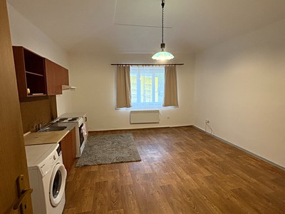 Pronájem bytu 1+kk 35 m² (Jednopodlažní)