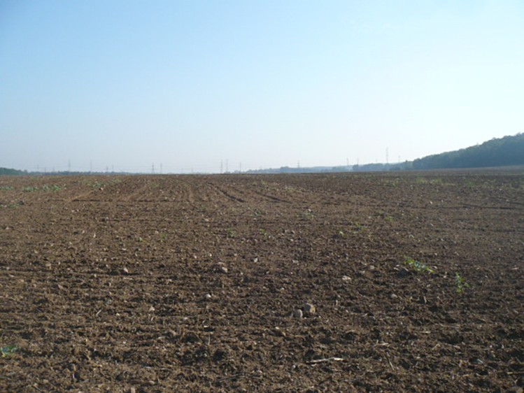 Prodej pozemku, 55 948 m² (1 z 3)
