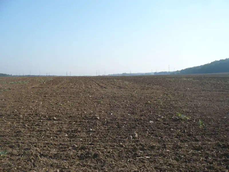 Prodej komerčního pozemku 55948 m², Veltrusy – náhled fotky 1