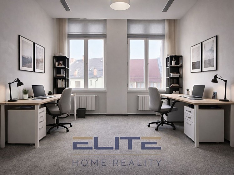 Pronájem komerčního prostoru, 775 m² (17 z 37)