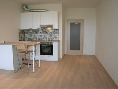 Pronájem bytu 1+kk 35 m²