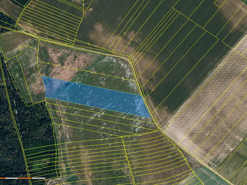 Prodej pole 29834 m², Džbánice – náhled fotky 3