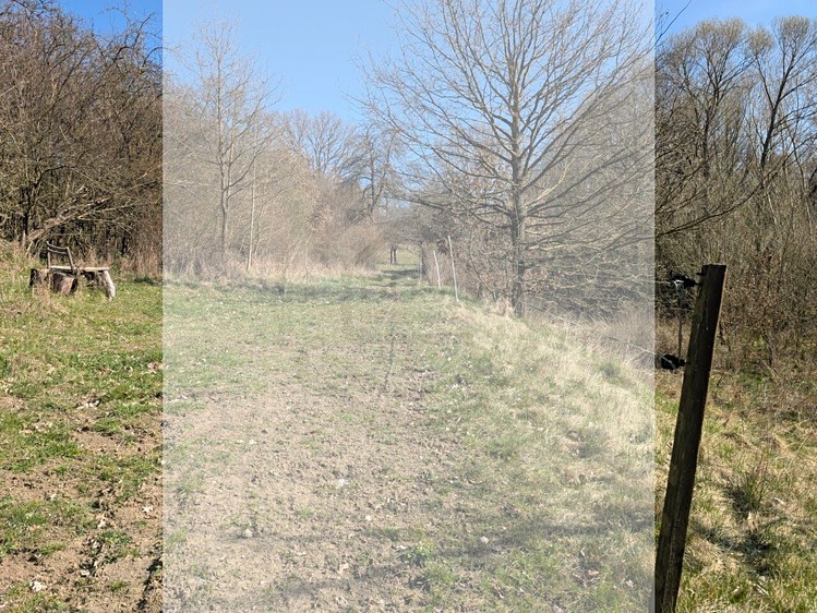 Ділянка на продаж, 1 747 м² (7 з 8)