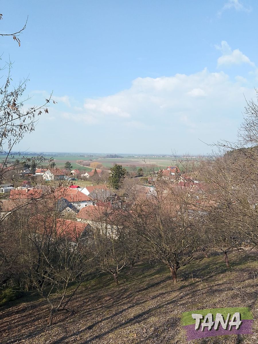 Prodej rodinného domu 145 m², pozemek 3028 m²