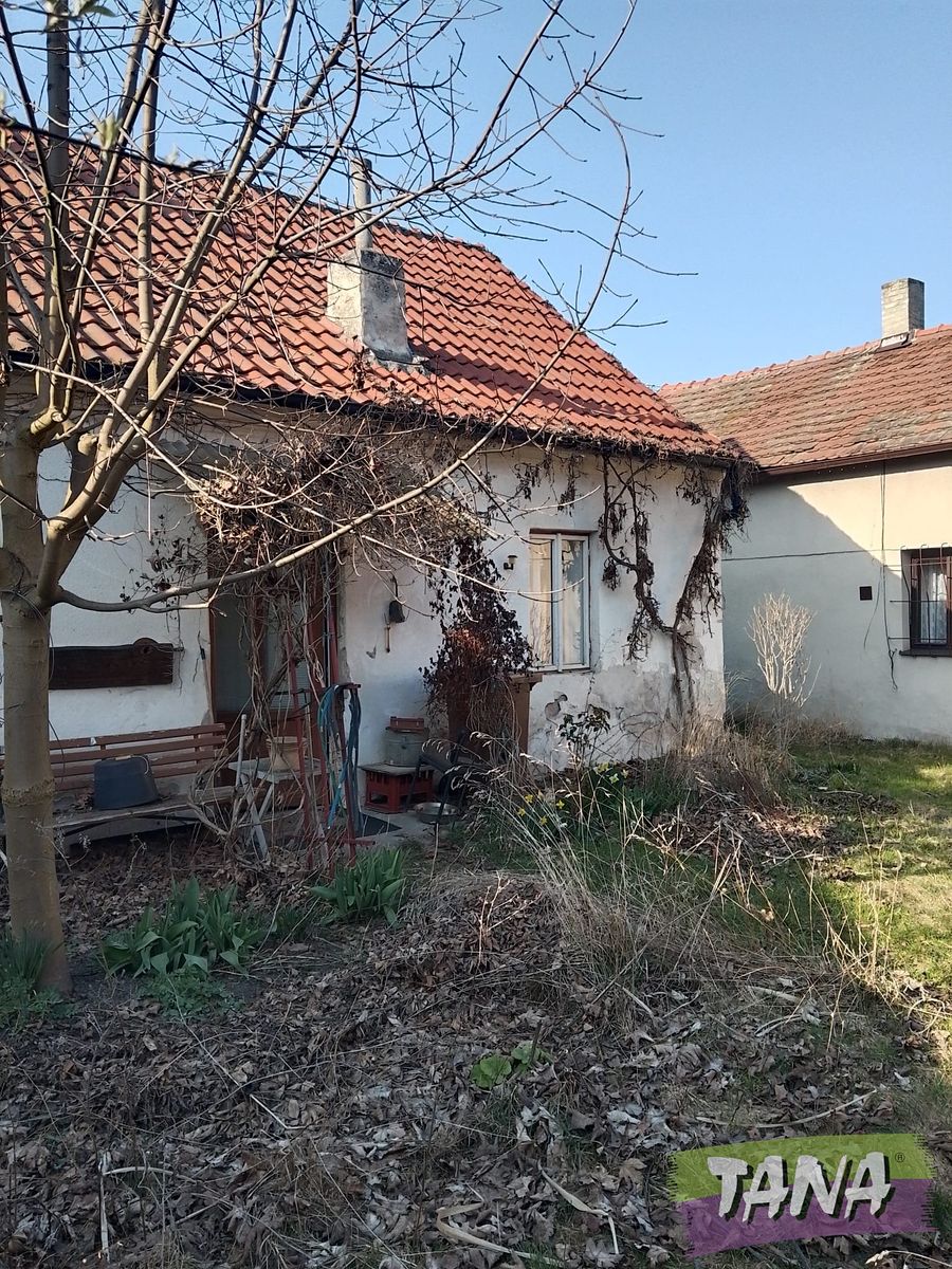 Prodej rodinného domu 145 m², pozemek 3028 m² – fotografie 5