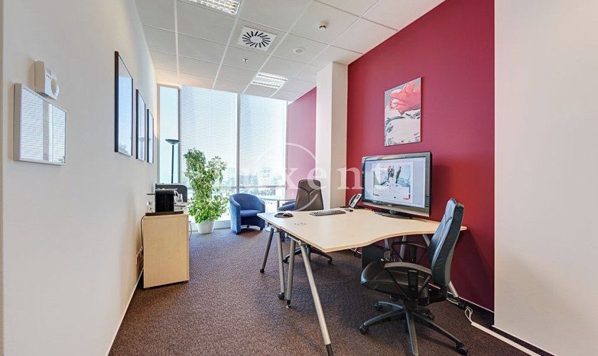 Pronájem kanceláře 300 m² – fotografie 3