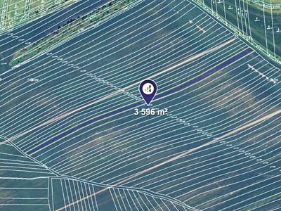 Prodej pole 3596 m²